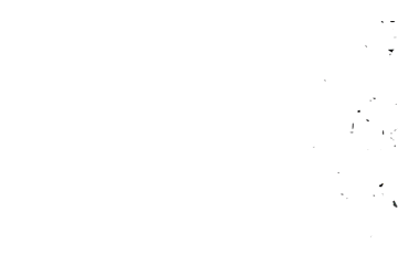 BizNetz-Transformation_Intro